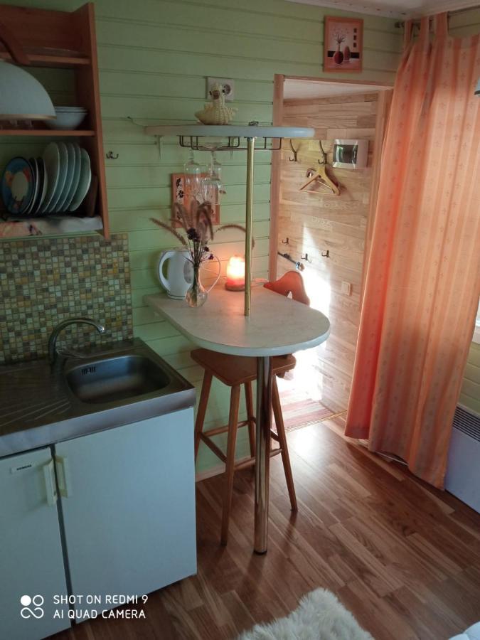 Villa Jurmala'S Center Mini House Extérieur photo
